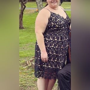 City Chic Blue and Tan Lace Dress